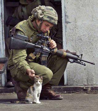 soldierwithkitty.jpg